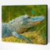 Alligator Animal Paint By Number