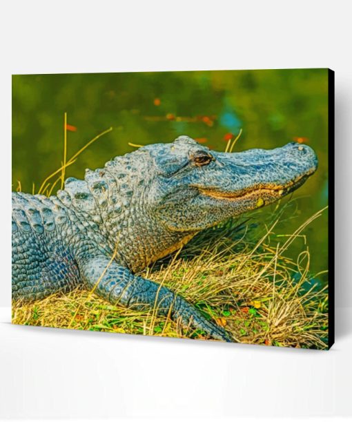 Alligator Animal Paint By Number