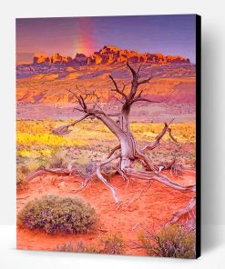 Arches National Park Desert Paint By Number