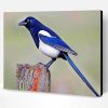 Australian Magpie Paint By Number