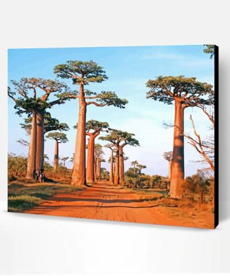 Avenue Of The Baobabs Paint By Number