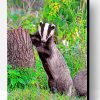 Badger Animal Paint By Number