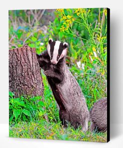 Badger Animal Paint By Number