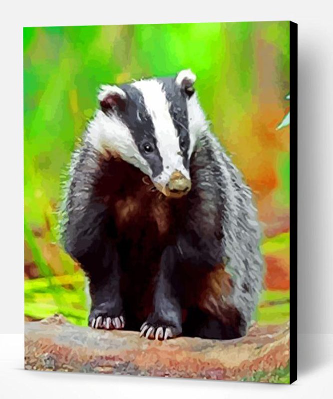 Badger In Forest Paint By Number