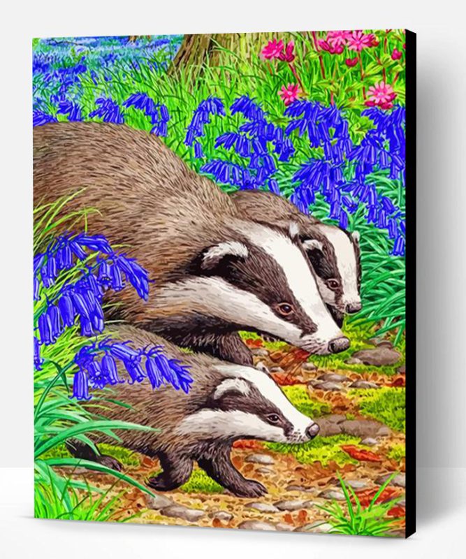 Badgers Animals Paint By Number