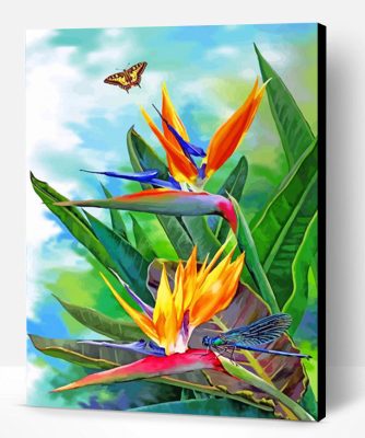 Bird Of Paradise And Butterfly Paint By Number