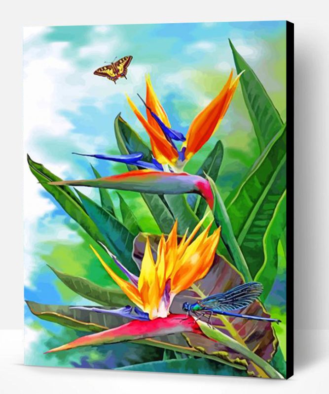 Bird Of Paradise And Butterfly Paint By Number