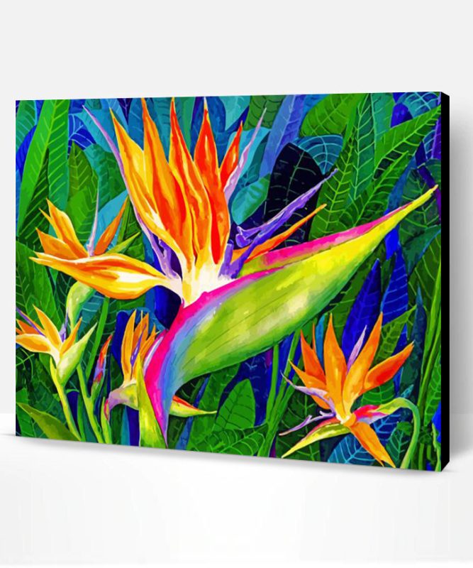 Bird Of Paradise Art Paint By Number