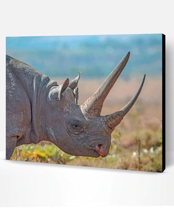 Rhinos Animal Paint By Number