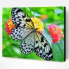 Black And White Butterfly Paint By Number
