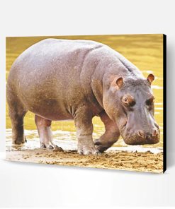 Black Hippopotamus Animal Paint By Number