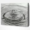 Black And White Realistic Water Drop Paint By Number