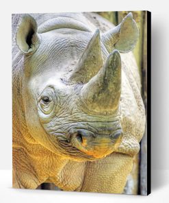 Grey Rhinoceros Paint By Number