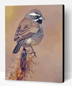 Black Throated Sparrow Paint By Number