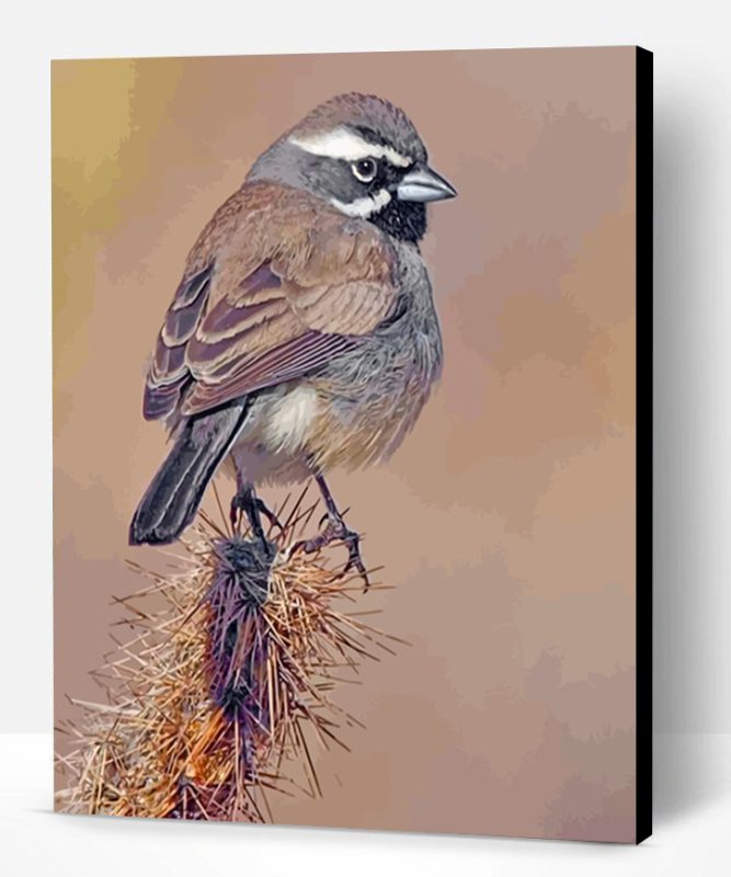 Black Throated Sparrow Paint By Number