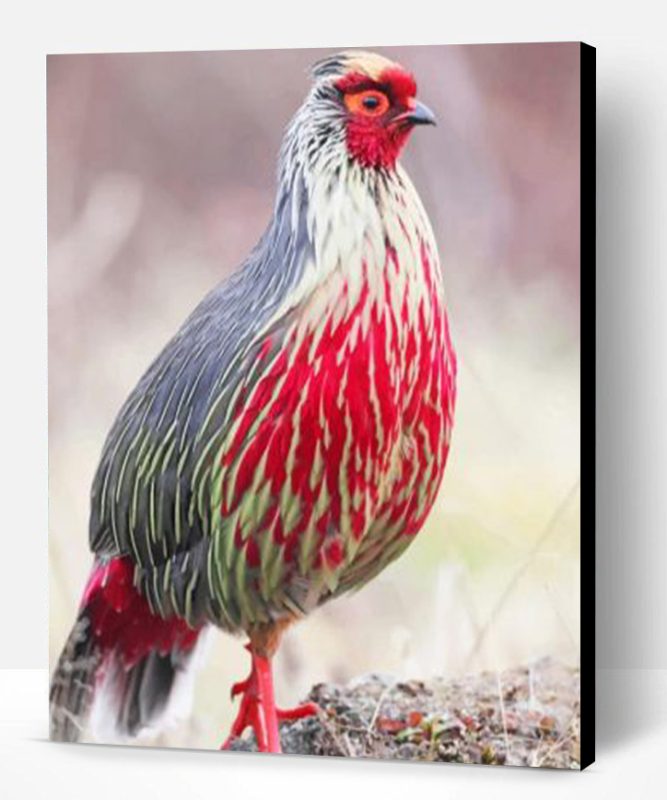 Blood Pheasant Paint By Number