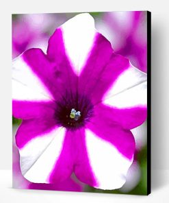 Blooming Petunia Paint By Number