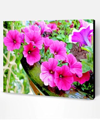 Blooming Pink Petunia Paint By Number