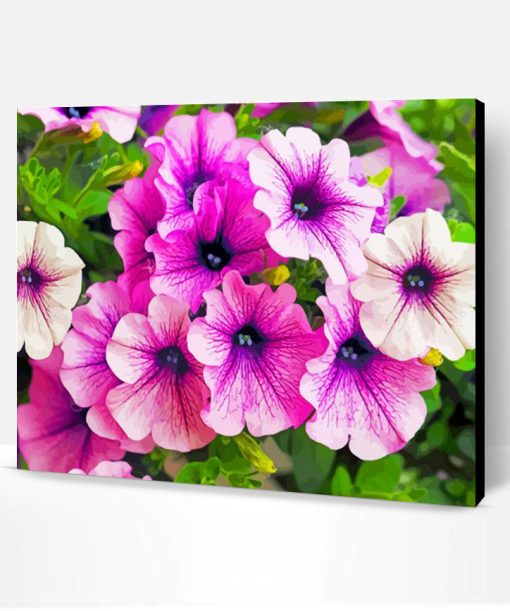 Blooming Purple Petunia Paint By Number