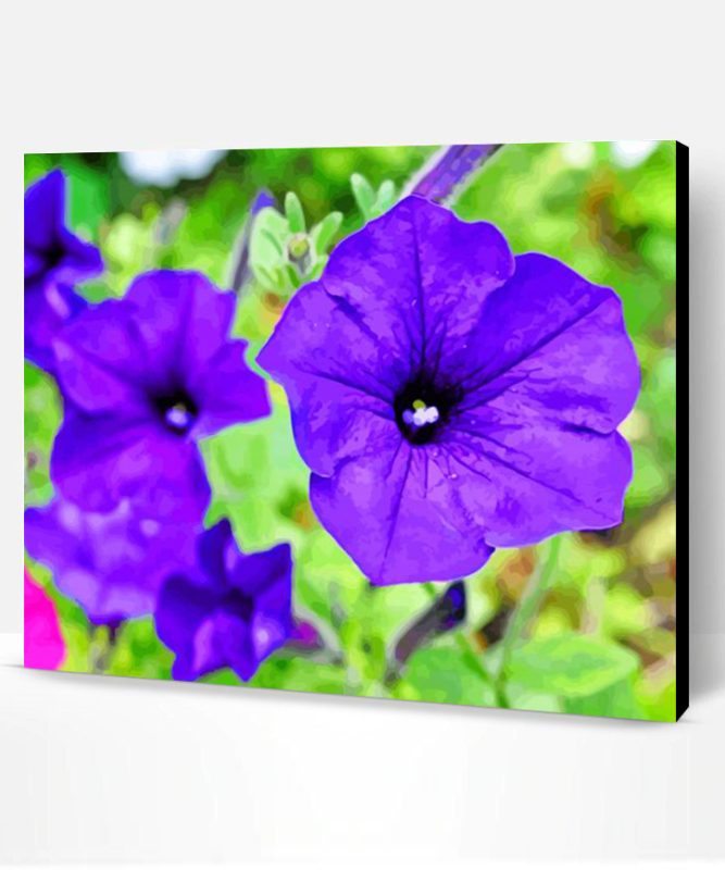 Blue Petunia Paint By Number