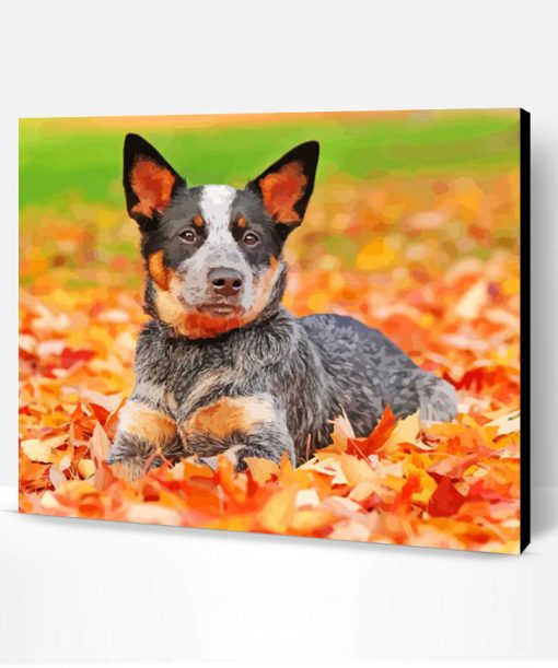 Blue Heeler Dog Paint By Number