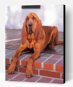 Brown Bloodhound Paint By Number