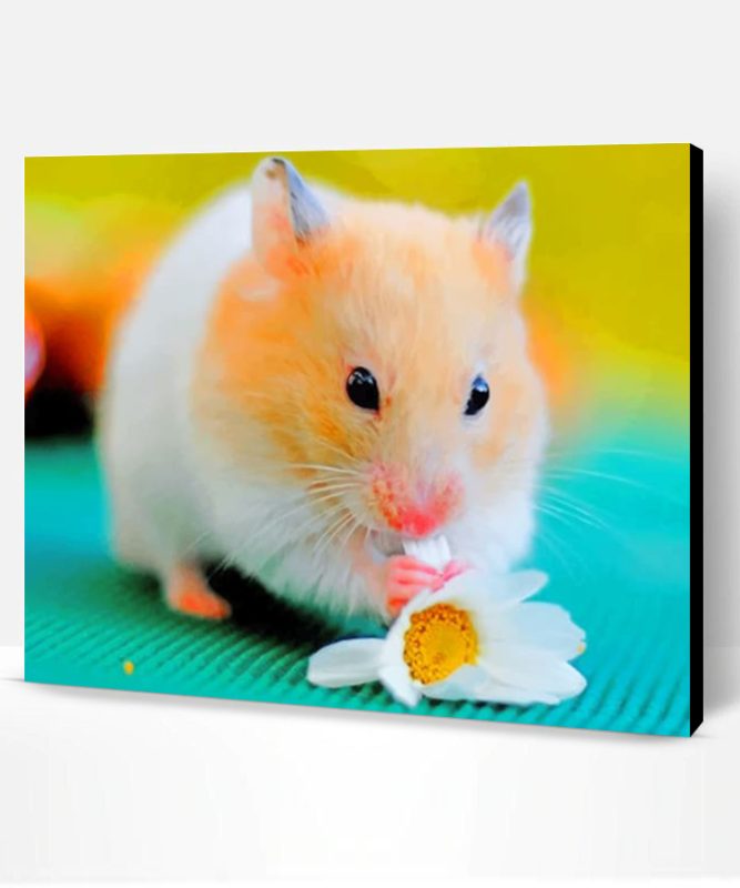 Hamster Eating Flower Paint By Number