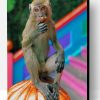 Rhesus Macaque Paint By Number