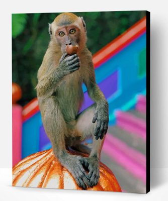 Rhesus Macaque Paint By Number