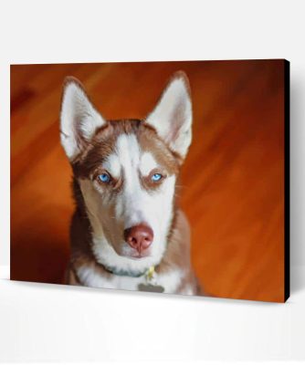 Brown White Serbian Husky Paint By Number