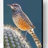 Cactus Wren Paint By Number