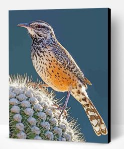 Cactus Wren Paint By Number