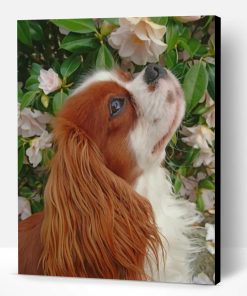 King Charles Cavalier Paint By Number