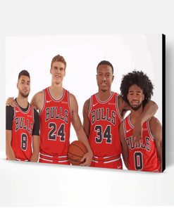 Chicago Bulls Team Paint By Number