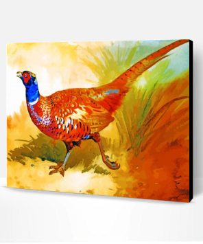 Cock Pheasant Paint By Number
