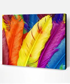 Colorful Feathers Paint By Numbers