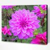 Dahlia Lilac Paint By Number