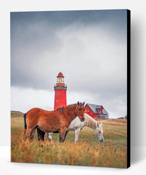 Horses Near To Bovbjerg Lighthouse Paint By Number