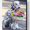 Dalmatian Dog With Flowers Basket Paint By Number