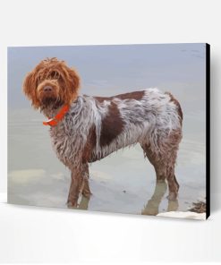 Female Wirehaired Pointing Griffon Paint By Number