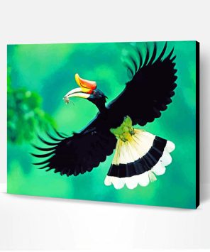 Flying Great Hornbill Paint By Number