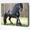 Friesian Horse Paint By Number