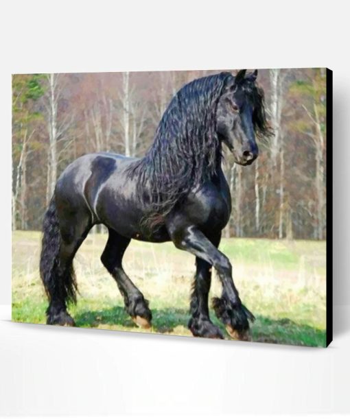 Friesian Horse Paint By Number