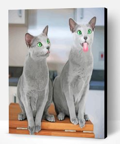 Funny Russian Blue Cats Paint By Number