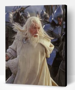 Gandalf The White Paint By Number