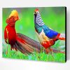 Golden Pheasant Birds Paint By Number