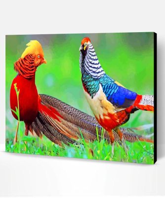 Golden Pheasant Birds Paint By Number