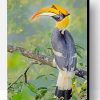 Great Hornbill Bird Paint By Number