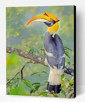 Great Hornbill Bird Paint By Number