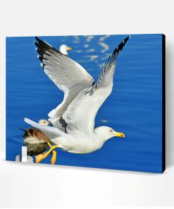 Sea Gull Flight Paint By Number